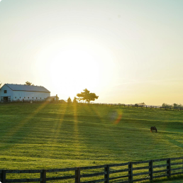 KENTUCKY office